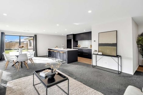 Photo of property in 29 Whitehorn Drive, Lincoln, 7608