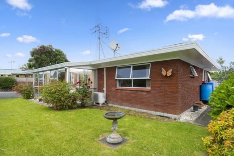 Photo of property in 224 Fourteenth Avenue, Tauranga South, Tauranga, 3112