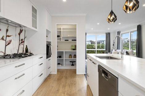 Photo of property in 38 Walter Lawry Road, Paerata, Pukekohe, 2124