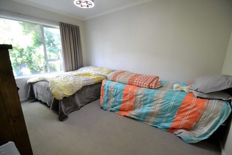 Photo of property in 251 Bridge Street, The Wood, Nelson, 7010