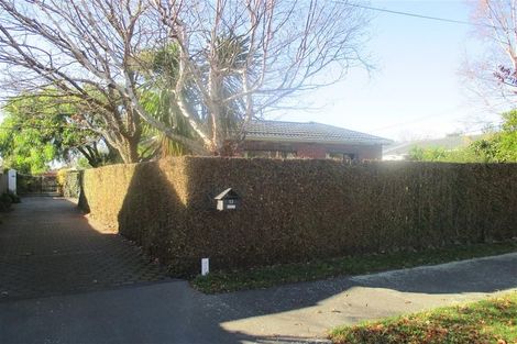 Photo of property in 53 Ngaio Street, Saint Martins, Christchurch, 8022