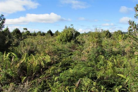 Photo of property in 240 Maori Creek Road, Marsden, Greymouth, 7872