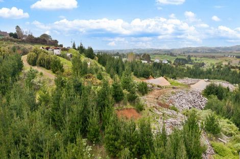 Photo of property in 80 Cameron Town Road, Pukekohe, 2678