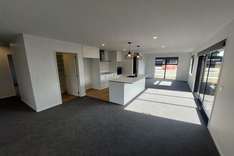 Photo of property in 47 Lenborough Drive, Rolleston, 7614