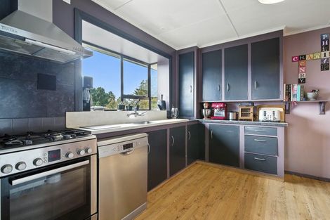 Photo of property in 205 Signal Hill Road, Opoho, Dunedin, 9010