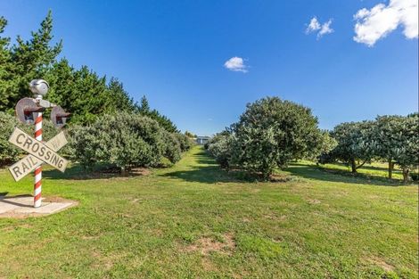 Photo of property in 146 Lindsay Road, Levin, 5510