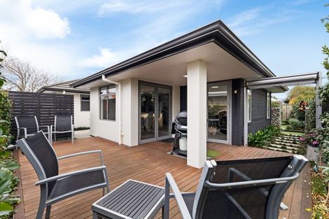Photo of property in 60c Roy Street, Palmerston North, 4410