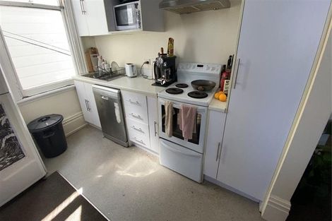 Photo of property in 111 Tasman Street, Mount Cook, Wellington, 6021