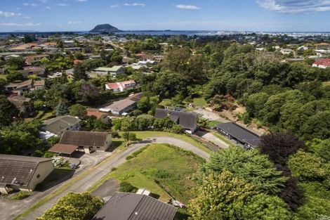 Photo of property in 297a Otumoetai Road, Otumoetai, Tauranga, 3110