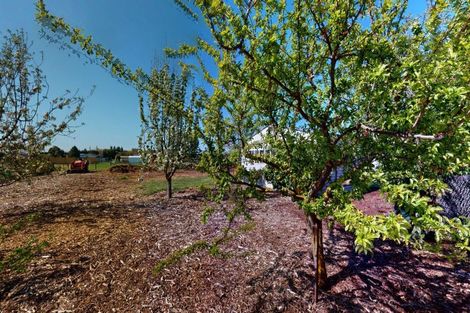 Photo of property in 21 Tuarangi Road, Netherby, Ashburton, 7700