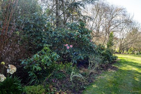 Photo of property in 260 Downs Road, Geraldine Downs, Geraldine, 7991