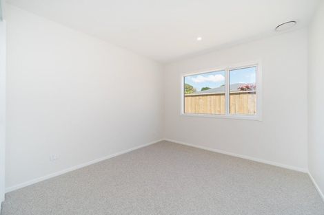 Photo of property in 42c Batt Street, West End, Palmerston North, 4410