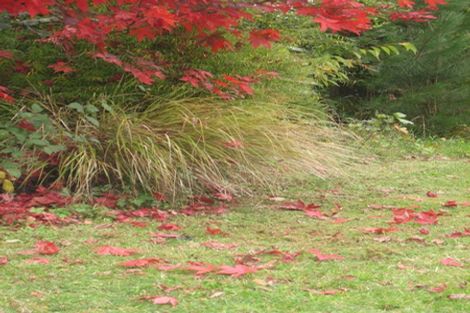 Photo of property in 29 East Grampian Street, Tokoroa, 3420