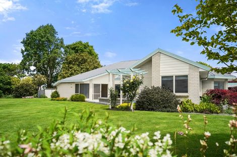 Photo of property in 27 Ngaio Street, Matamata, 3400