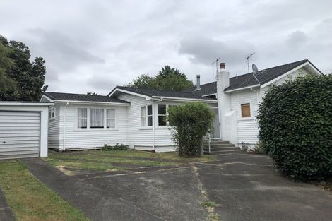 Photo of property in 17 Devon Street, Levin, 5510