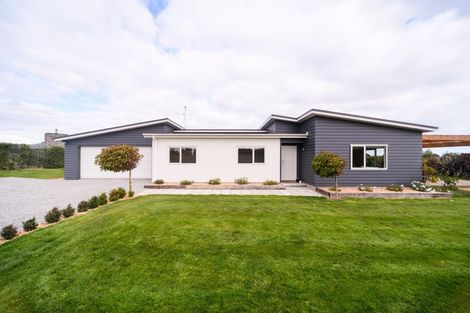 Photo of property in 15 Wapiti Avenue, Feilding, 4775