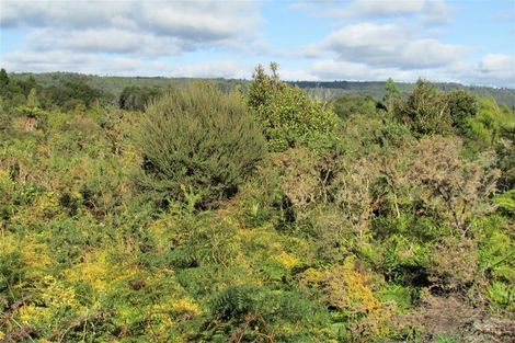 Photo of property in 240 Maori Creek Road, Marsden, Greymouth, 7872
