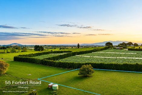 Photo of property in 55 Forkert Road, Ohaupo, 3803