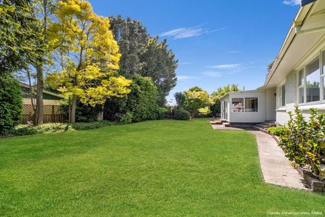 Photo of property in 81 College Road, Edgecumbe, 3120