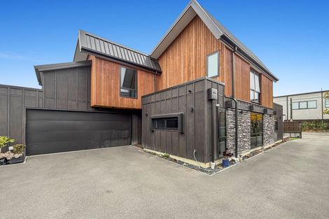 Photo of property in 46 Hewitts Road, Merivale, Christchurch, 8014