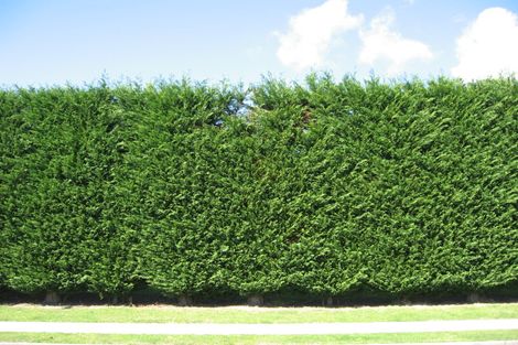 Photo of property in 14 Orange Lane, Bethlehem, Tauranga, 3110