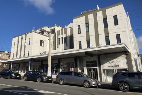Photo of property in 24u9 Elizabeth Street, Mount Victoria, Wellington, 6011
