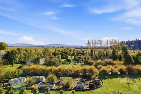 Photo of property in 38 Princes Street, Waikari, 7420