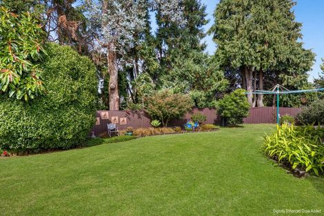 Photo of property in 57 Twentysecond Avenue, Gate Pa, Tauranga, 3112