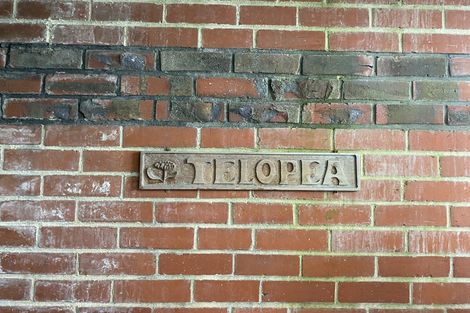 Photo of property in 19 Falkland Street, Maori Hill, Dunedin, 9010