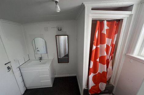 Photo of property in 101 Daniell Street, Newtown, Wellington, 6021