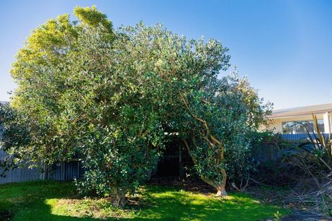 Photo of property in 127 Beach Road, Kaikoura, 7300