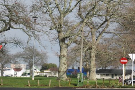 Photo of property in 8 Cook Street, Hamilton East, Hamilton, 3216