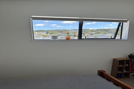 Photo of property in Aniva Terrace, 19 Arney Street, Newtown, Wellington, 6021