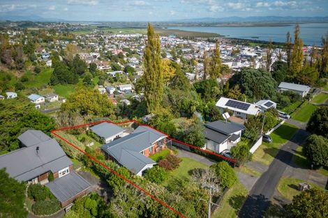 Photo of property in 115 Irishtown Road, Thames, 3500