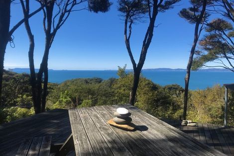 Photo of property in 455 Tuateawa Road, Tuateawa, Coromandel, 3583