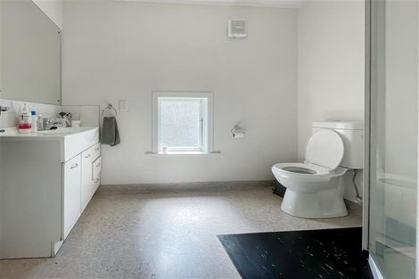 Photo of property in 17 Hankey Street, Mount Cook, Wellington, 6011