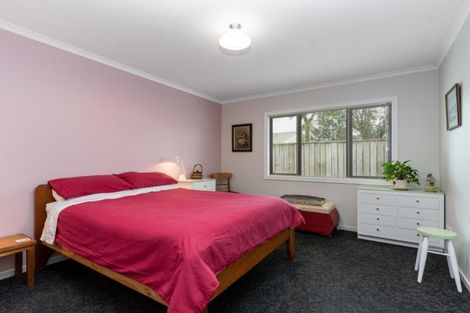 Photo of property in 88a Bannister Street, Masterton, 5810