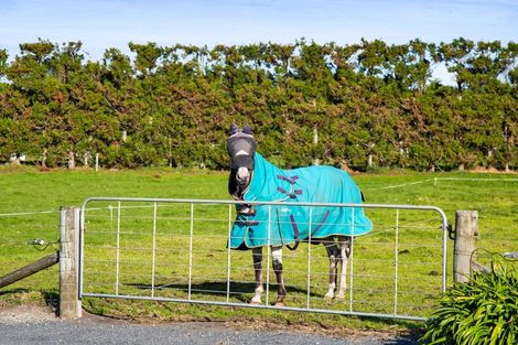 Photo of property in 957 Main Road North, Onaero, Waitara, 4383