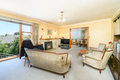 Photo of property in 145a Ruahine Street, Roslyn, Palmerston North, 4414