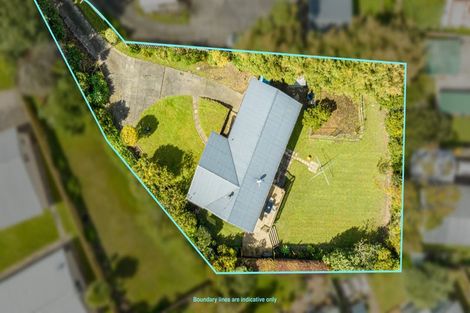 Photo of property in 9 Boler Place, New Lynn, Auckland, 0600
