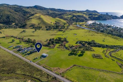 Photo of property in 136 Te Punga Road, Whangapoua, Coromandel, 3582