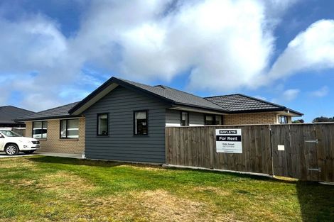 Photo of property in 93 Fairfield Road, Levin, 5510