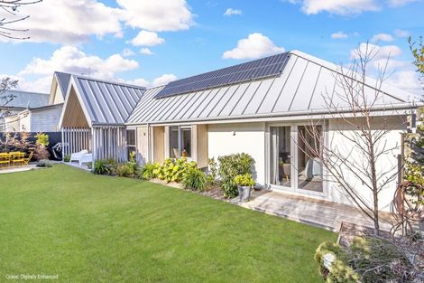Photo of property in 117 Rugby Street, Merivale, Christchurch, 8014