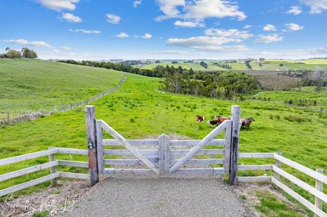 Photo of property in 186 Metcalfe Road, Matakohe, 0593