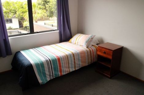 Photo of property in 30b Ascot Road, Mount Maunganui, 3116