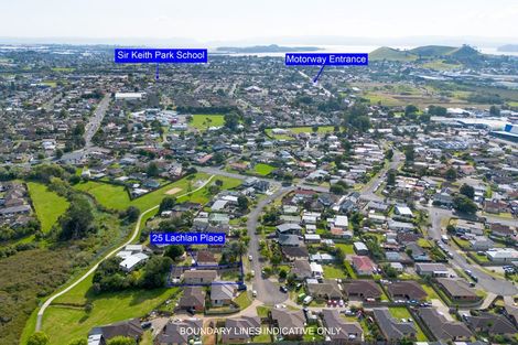 Photo of property in 25 Lachlan Place, Favona, Auckland, 2024