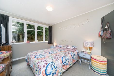 Photo of property in 114 Stanford Street North, Ashhurst, 4810