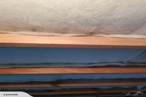 Photo of property in 15f3 Hindmarsh Street, Johnsonville, Wellington, 6037