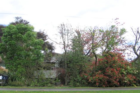 Photo of property in 55 Hinekura Avenue, Taupo, 3330