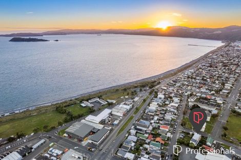 Photo of property in 100 Adelaide Street, Petone, Lower Hutt, 5012